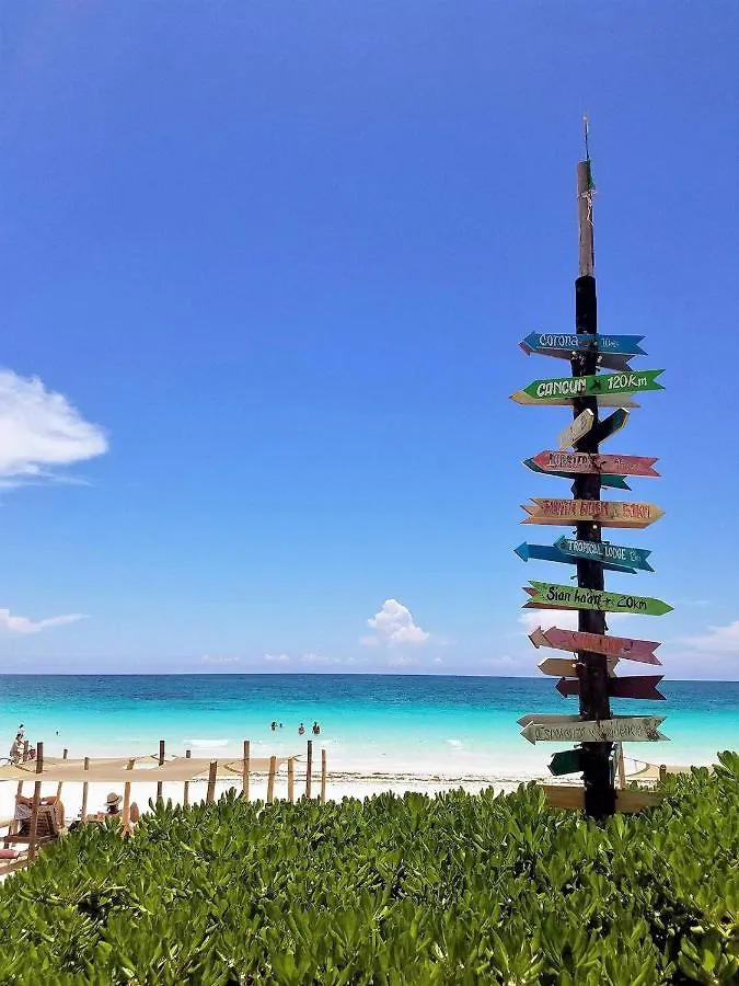 Casa vacanze Stunning 1 Bedroom 1 Bathroom Modern Condo Few Blocks To The Beach And 5Th Avenue Playa del Carmen